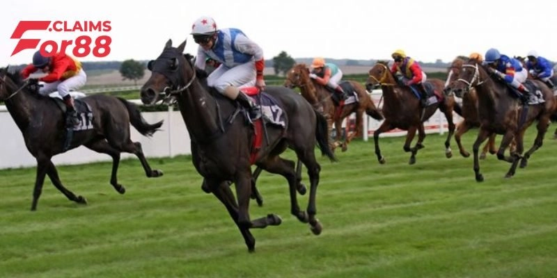 Cá Cược Đua Ngựa For88 – Tham Gia Đấu Trường Thưởng Khủng